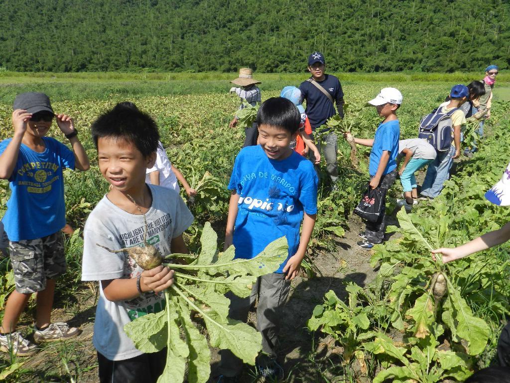 有機田裡開心體驗拔蘿蔔