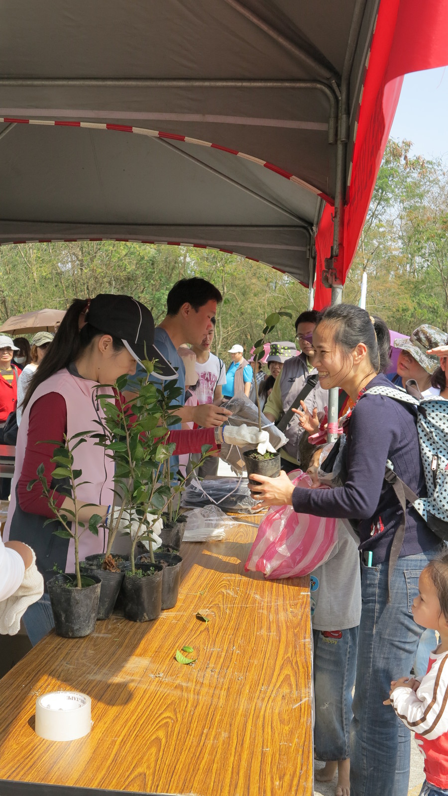 林務局現場贈送茶花等苗株供民眾索取