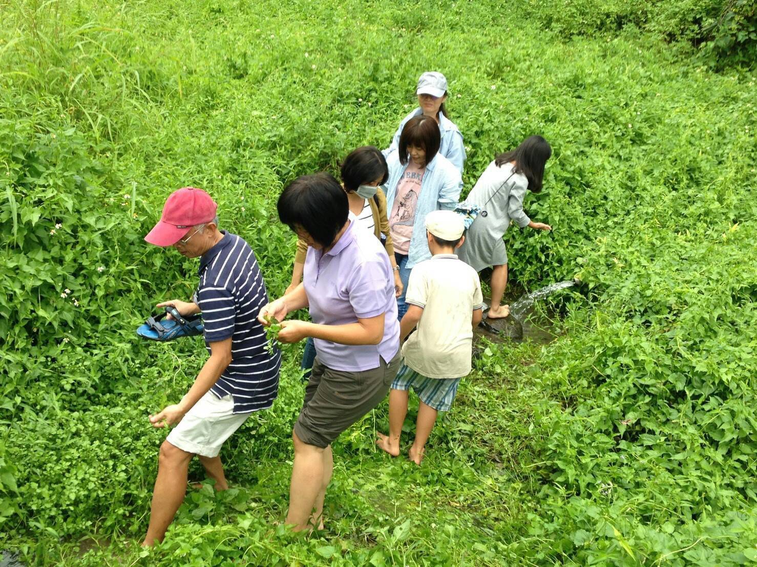 入溪澗採集野菜，赤足體驗與食材和土地的親近