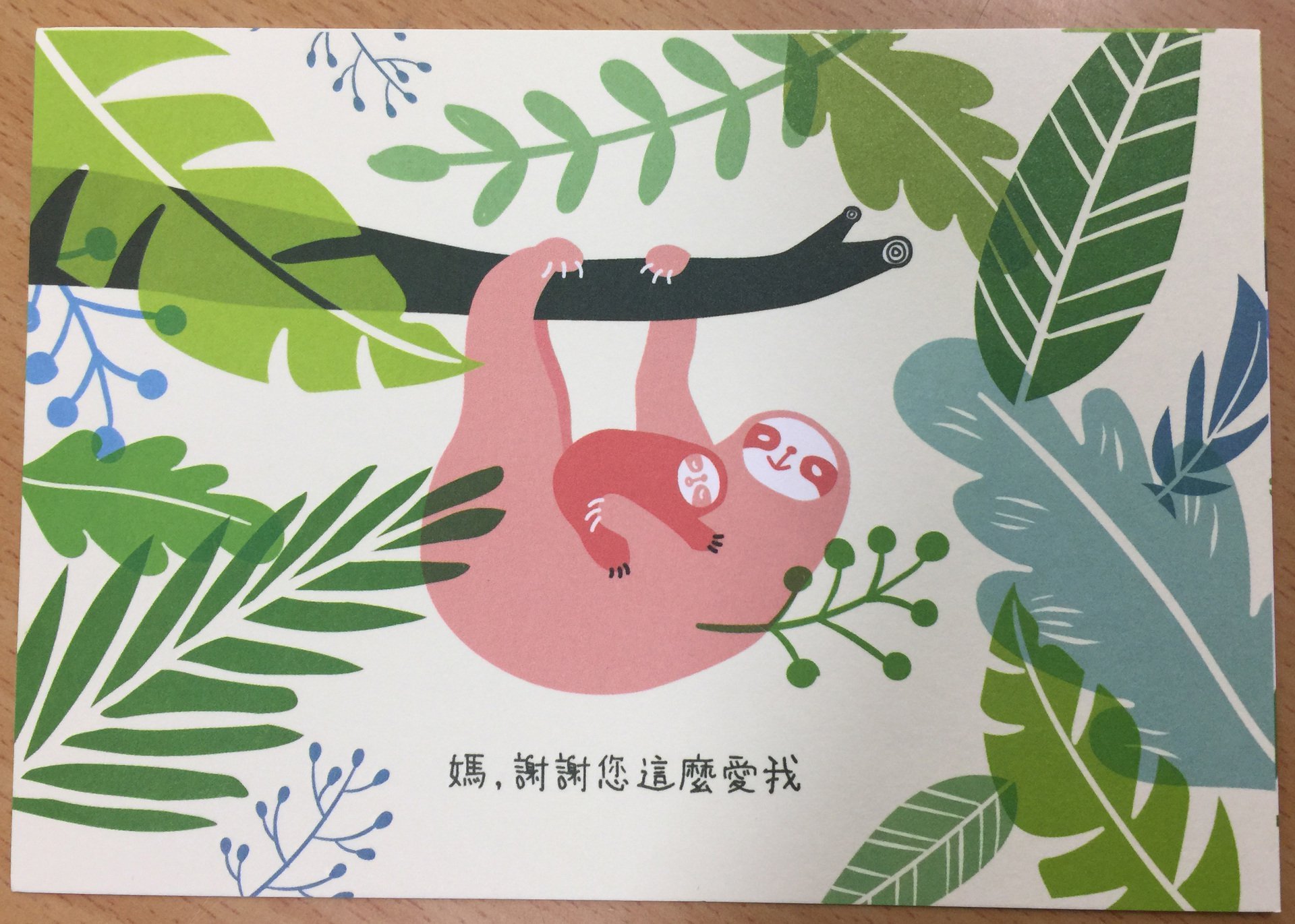 由中華郵政公司免費提供之母親節明信片1
