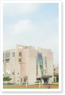 體育館建築之美