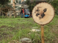 2012東華小米園「年終祭」插上月形牌，布農畫曆向土地致謝