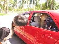 東華大學全面配合防疫，帶犬貓入校園，證件作記號