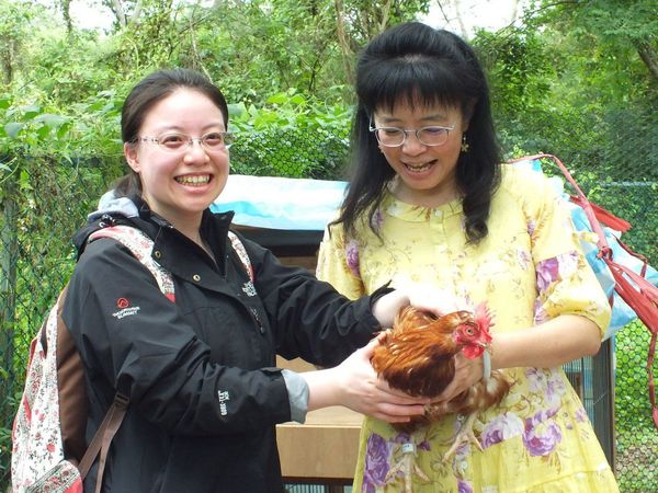 ～有雞生活．可食校景～「秘密雞地」在東華熱鬧展開